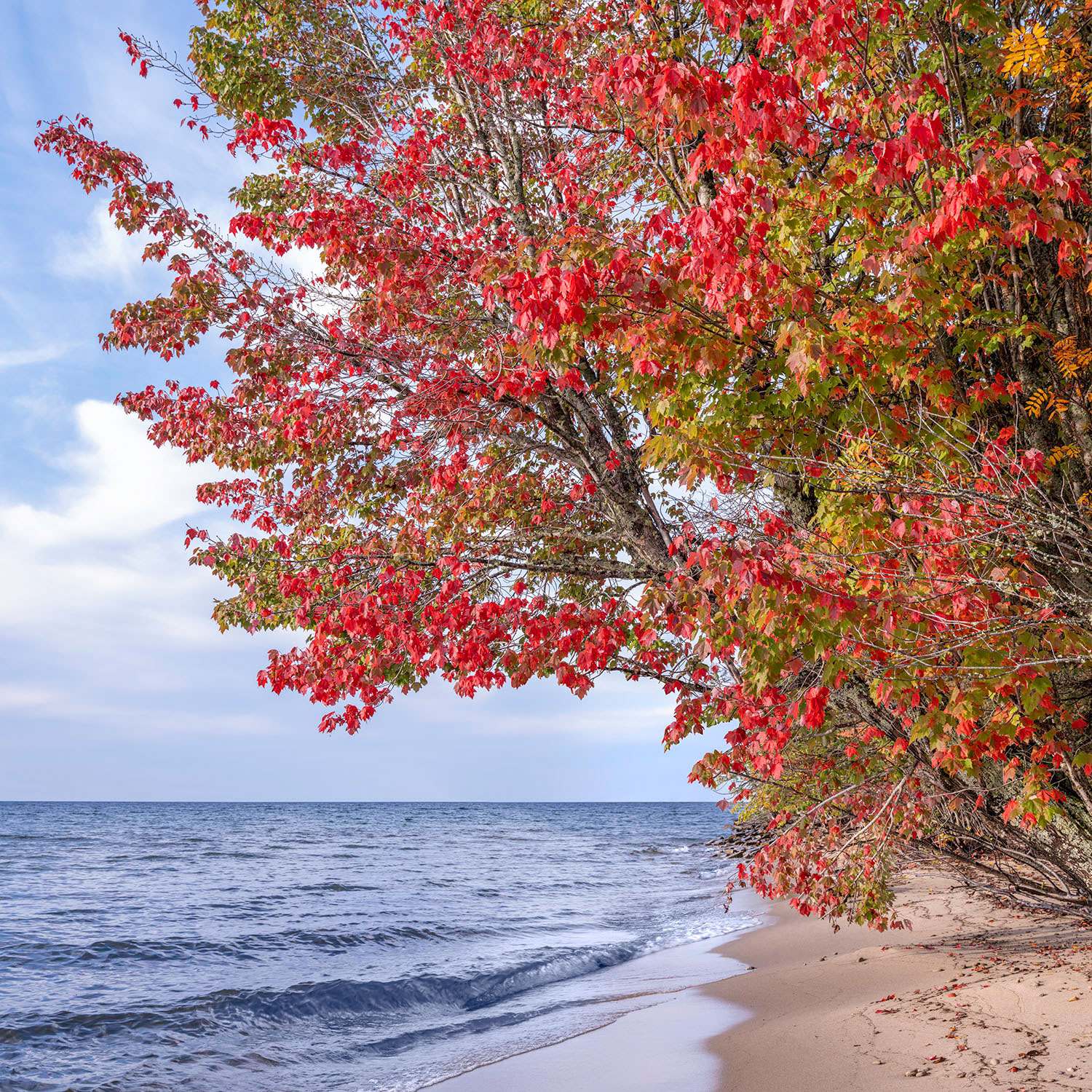 After-Nature