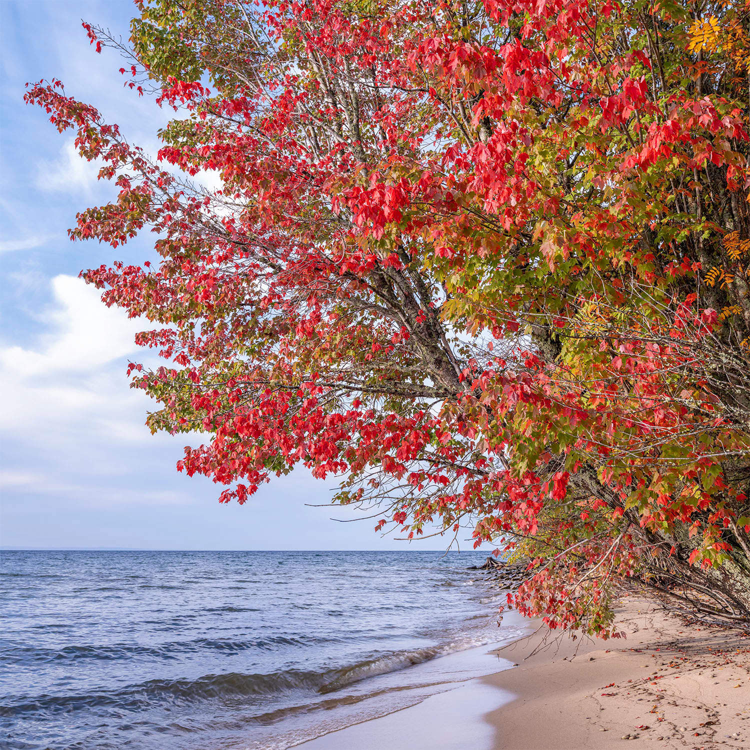 Before-Nature