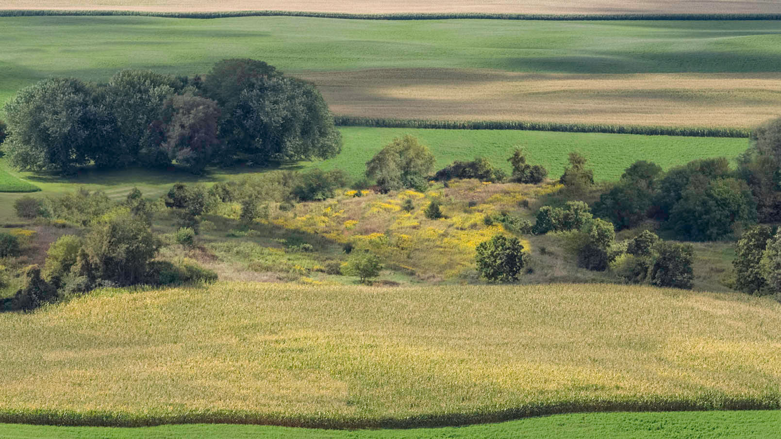 After-Nature