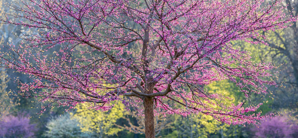 After-Nature